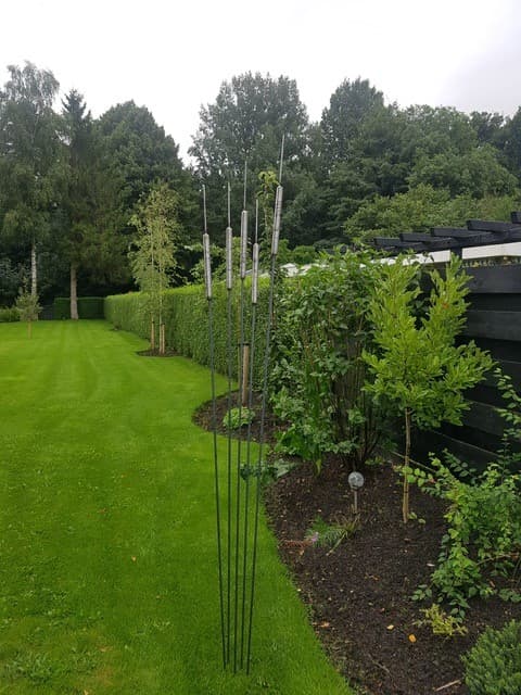 Lisdodde tuindecoratie