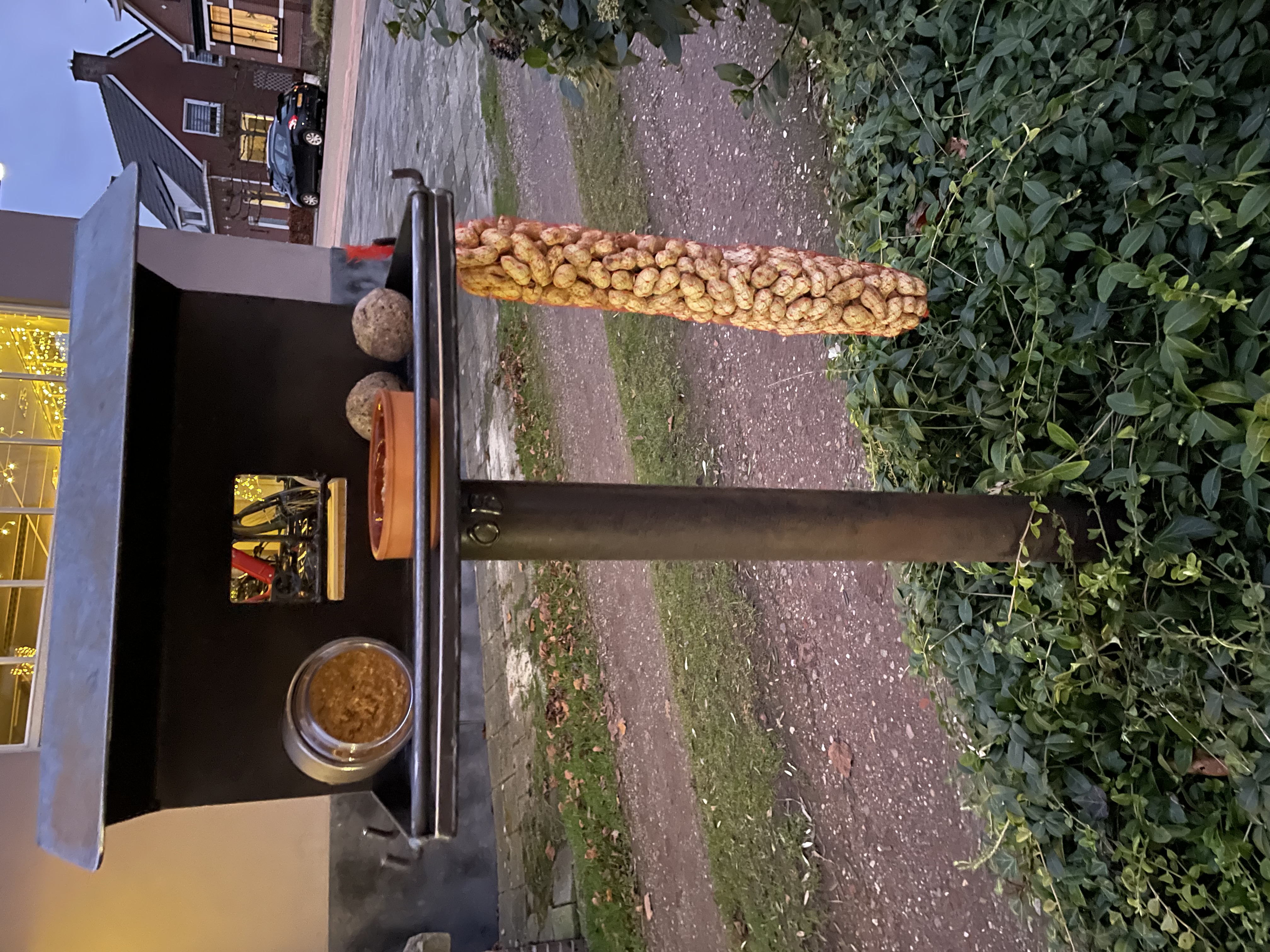 Vogelhuis van Cortenstaal 2