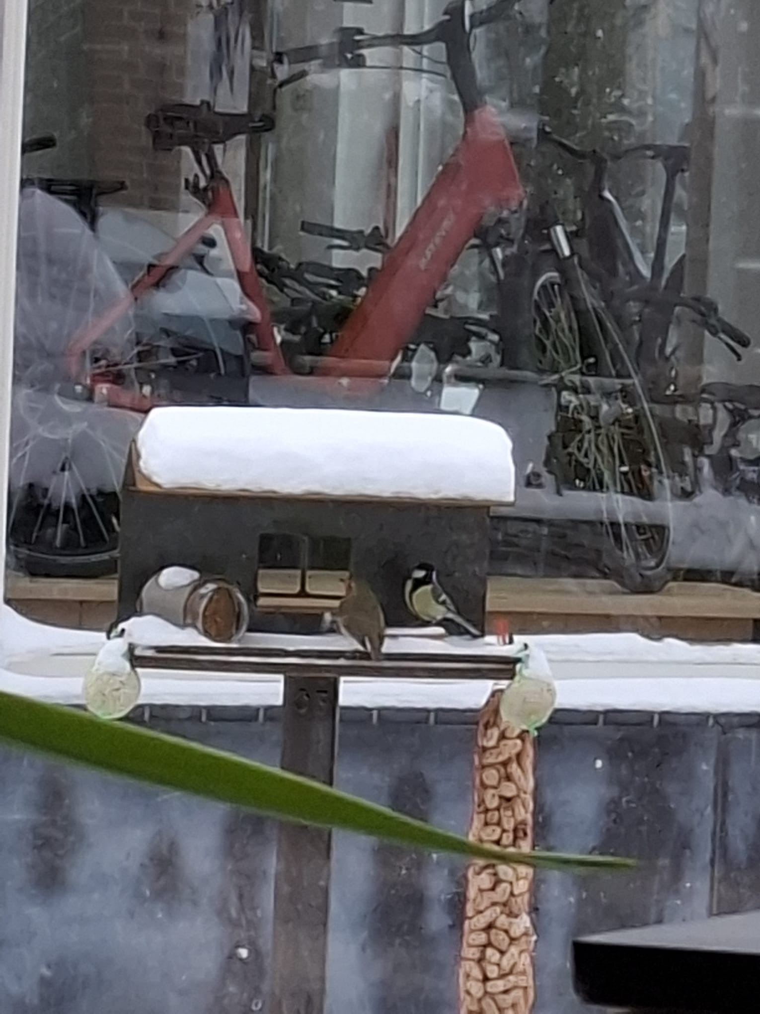 Vogelhuis van Cortenstaal 3